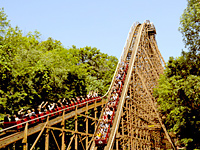 World's most insane roller coasters