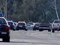 Chaos on freeway as motorists scoop up cash