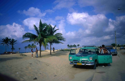 Cars parked along the beach near the palm trees at Playas del Este