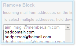 The address you added appears in the blocked addresses list.