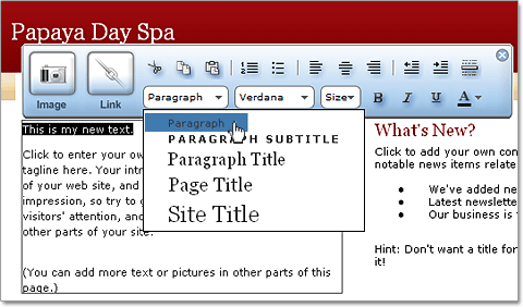 Click the Font Style menu to see the available font styles