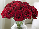 Red roses (Y! Shopping)